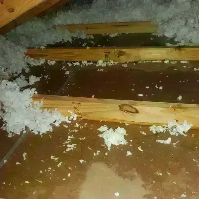 Attic Water Damage in Lincoln County, SD